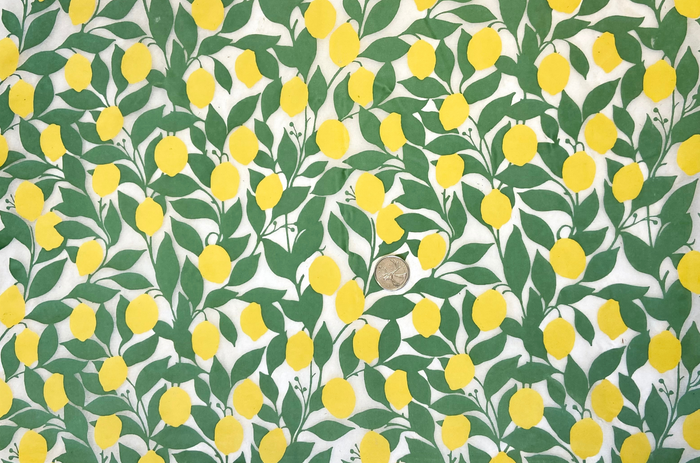 UNDERGLAZE DECAL TRANSFER - LEMONS PATTERN