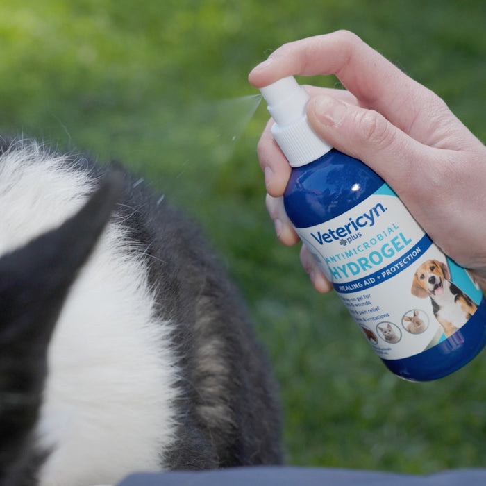All Animal Antimicrobial Hydrogel