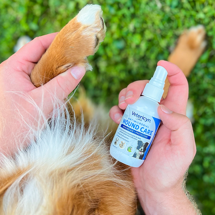 All Animal Antimicrobial Wound Care Spray