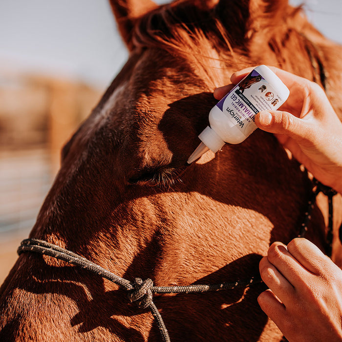 Antimicrobial All Animal Ophthalmic Gel