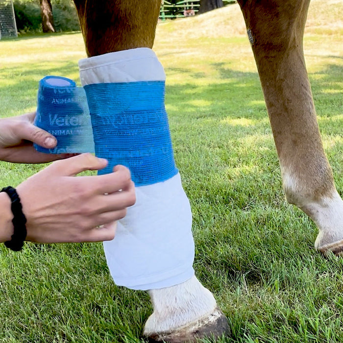 Antimicrobial Dressing Gel for All Animals