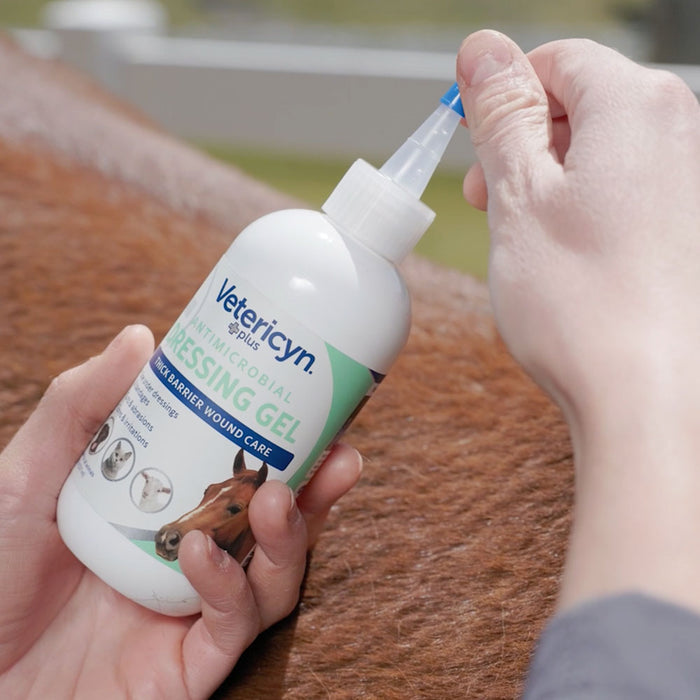 Antimicrobial Dressing Gel for All Animals