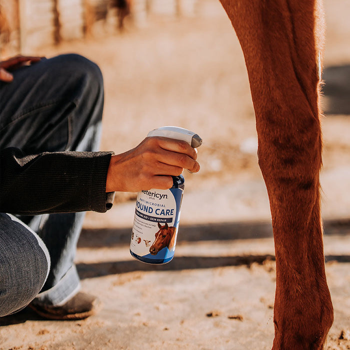 Antimicrobial Equine Wound Care