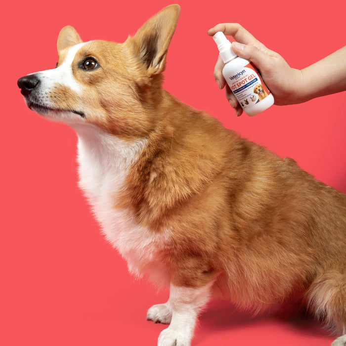 Antimicrobial Hot Spot Gel