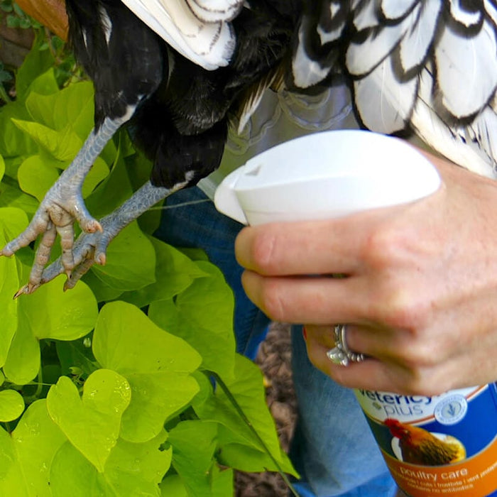 Antimicrobial Poultry Care