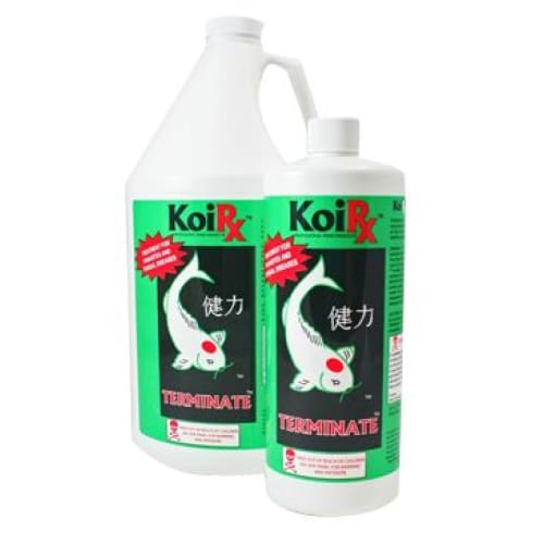 AQUA MEDS® KoiRx™ Terminate™ Koi Treatment for Pond