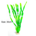166green / Aquatic Plant