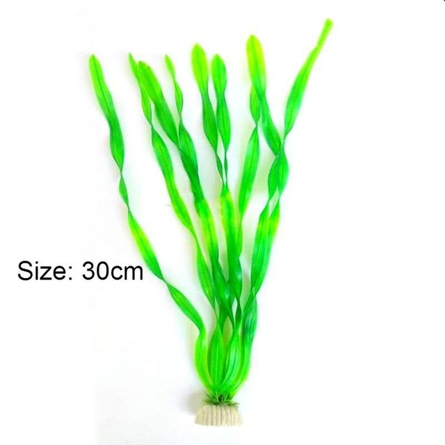 166green / Aquatic Plant