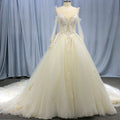 Ball Gown Sheer Long Sleeves Tulle Bride Wedding Dress - Rosymae