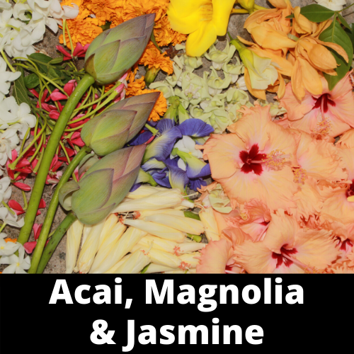 Black Canyon Acai Magnolia & Jasmine Scented Hand Sanitizer Gel - foxberryparkproducts