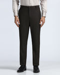 Brown Textured Trouser - Alan