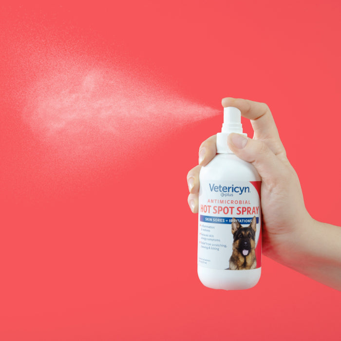 Bundle: Antimicrobial Hot Spot Spray and FoamCare Medicated Shampoo