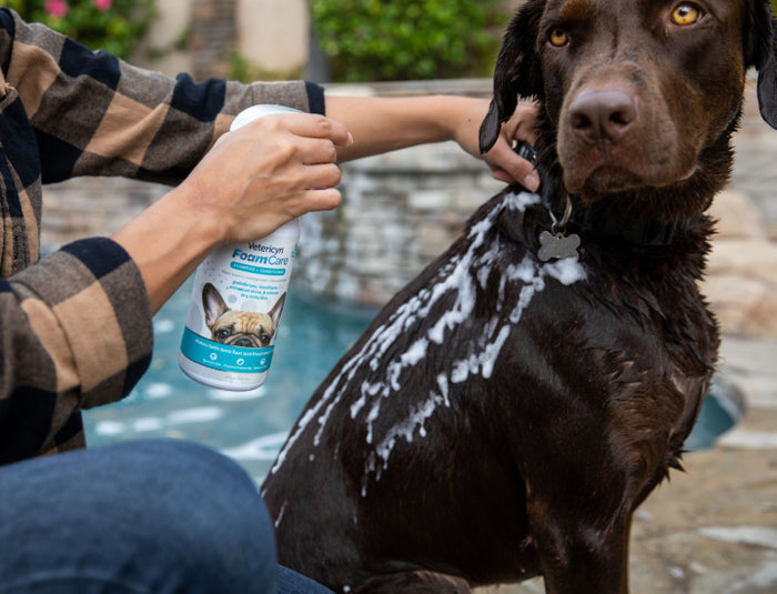 Bundle: FoamCare Pet Shampoo Plus ALL-IN 1 Multifunctional Dog Supplement