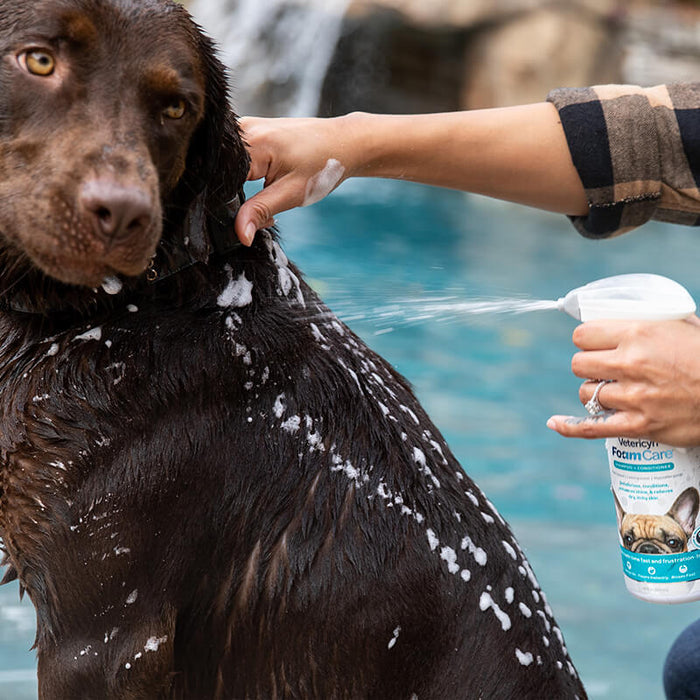 Bundle: FoamCare Pet Shampoo Plus ALL-IN 1 Multifunctional Dog Supplement