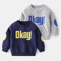 Casual Trendy Boys Printed Pullover | Stylish Boys Everyday Sweatshirt