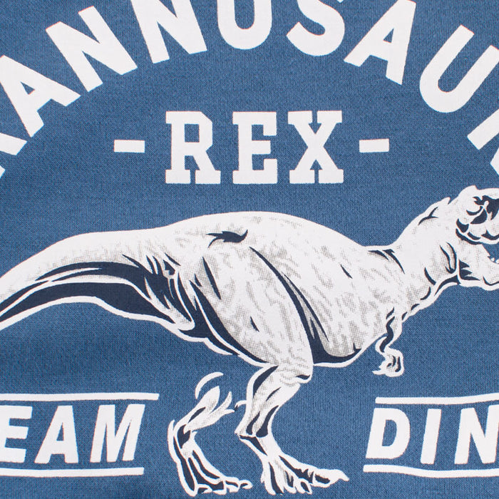 Children's Dinosaur Sweater | Dinosaur Winter Sweater For Kids