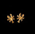 Crawfish Earrings