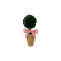 Dried Boxwood Tree in Terra-cotta Pot with Pink Velvet Bow