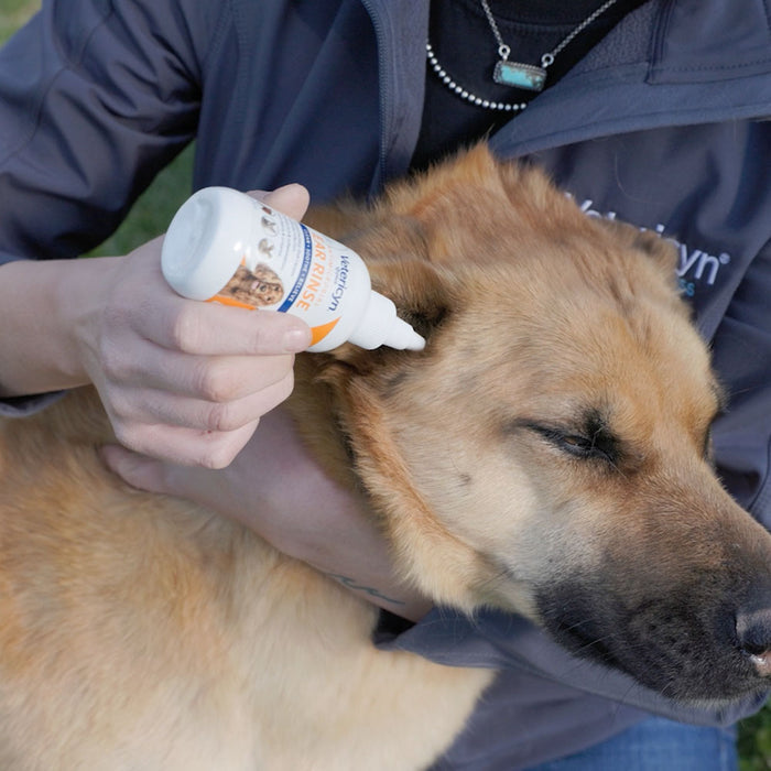 Ear Care Relief Kit - Ear Treatment + Antimicrobial Ear Rinse