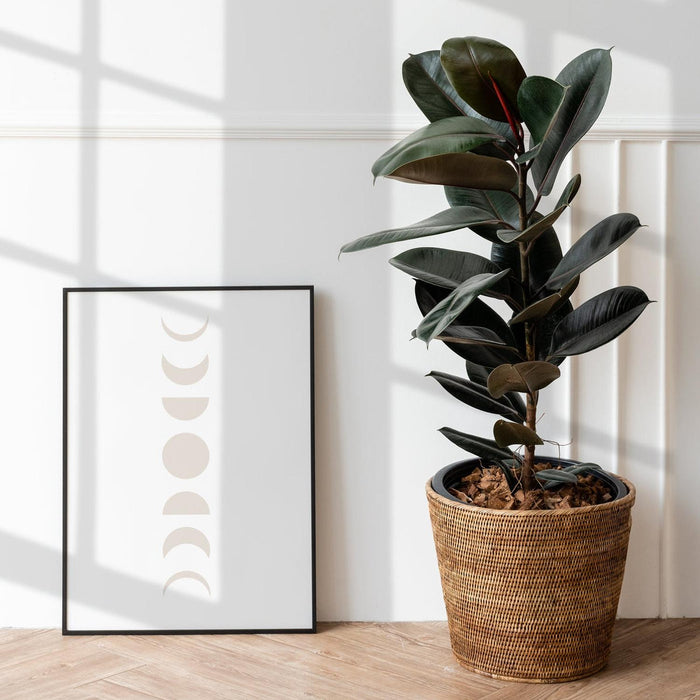 Wall Art Mid Century Modern Moon, Modern Paintings | Pippa +June