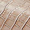 Rosy taupe color swatch | Exclude | Swatch