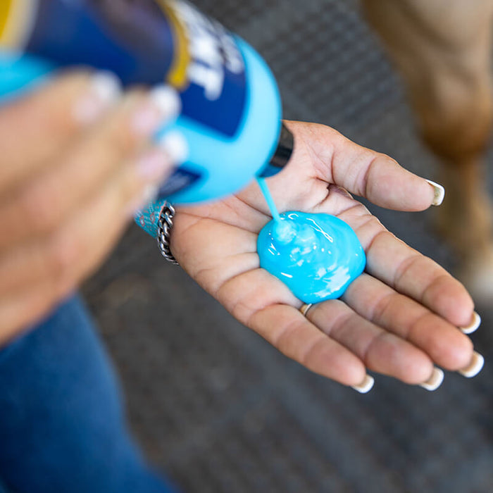 Equine Liniment for Horses