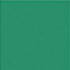Tropical green color swatch | Swatch | Exclude
