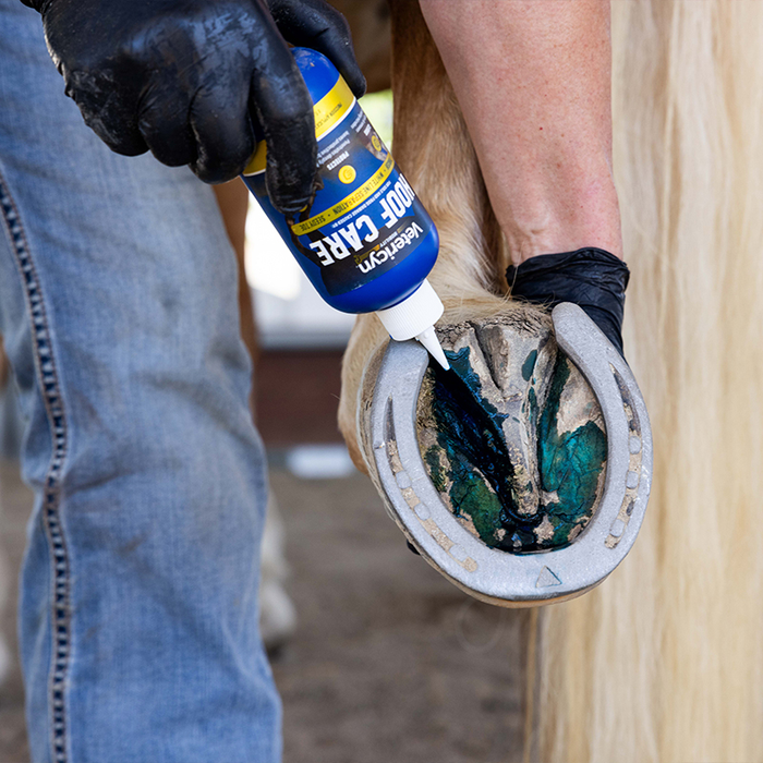 Hoof Care