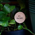 I'm Dying - Plant Stake