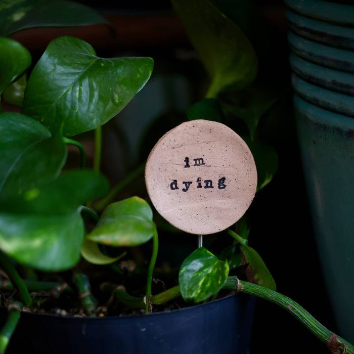 I'm Dying - Plant Stake