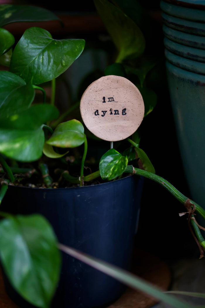 I'm Dying - Plant Stake