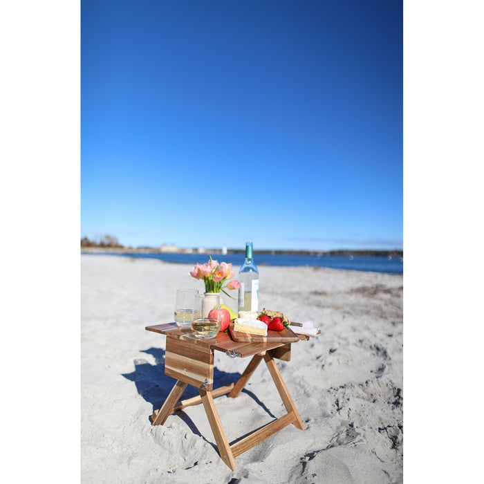 La Cuisine Picnic Table & Carrier