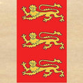 Lionheart Flag - Costumes and Collectibles