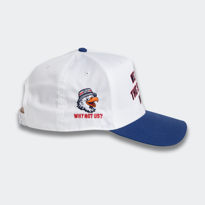 MiB We Got To The Semifinal Hat