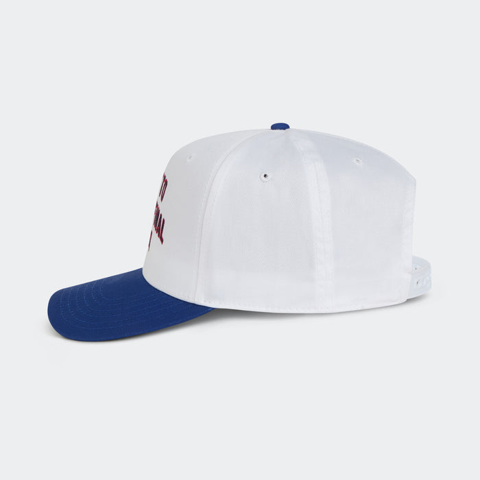 MiB We Got To The Semifinal Hat