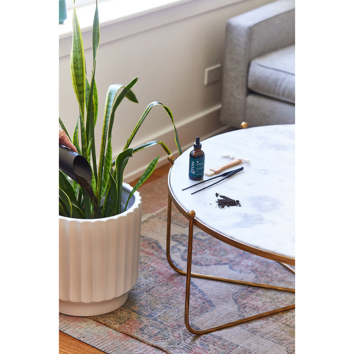 Modern Sprout® Plant Parent Care Kit