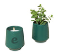 Modern Sprout® Rooted Candle
