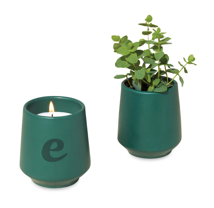 Modern Sprout® Rooted Candle