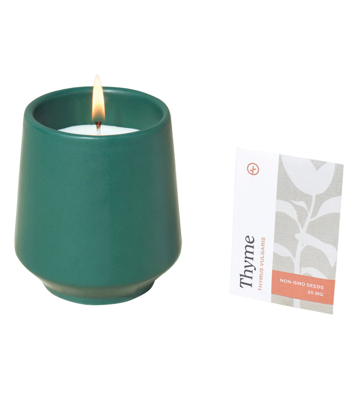 Modern Sprout® Rooted Candle