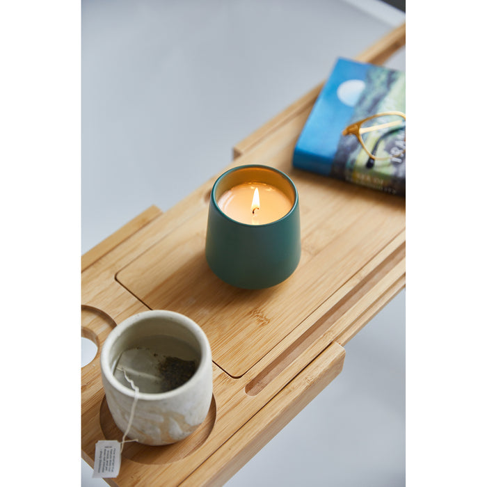 Modern Sprout® Rooted Candle