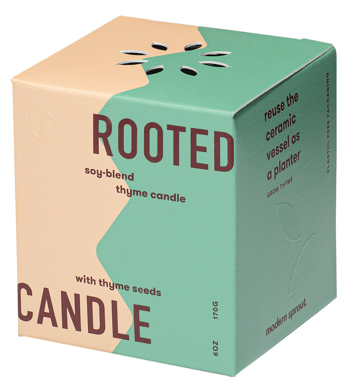 Modern Sprout® Rooted Candle
