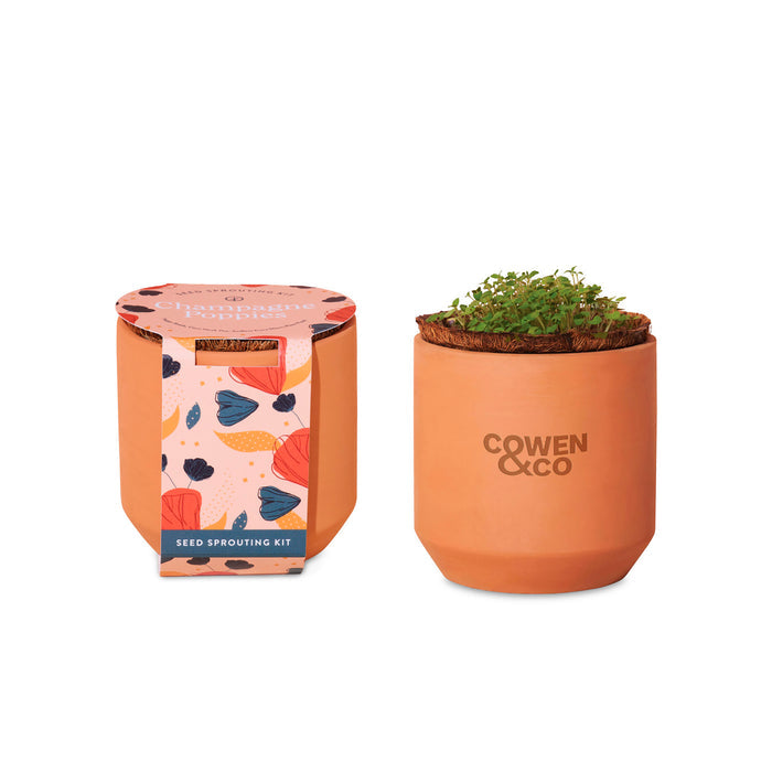 Modern Sprout® Tiny Terracotta Grow Kit Champagne Poppies