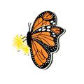 Monarch Big Attachment