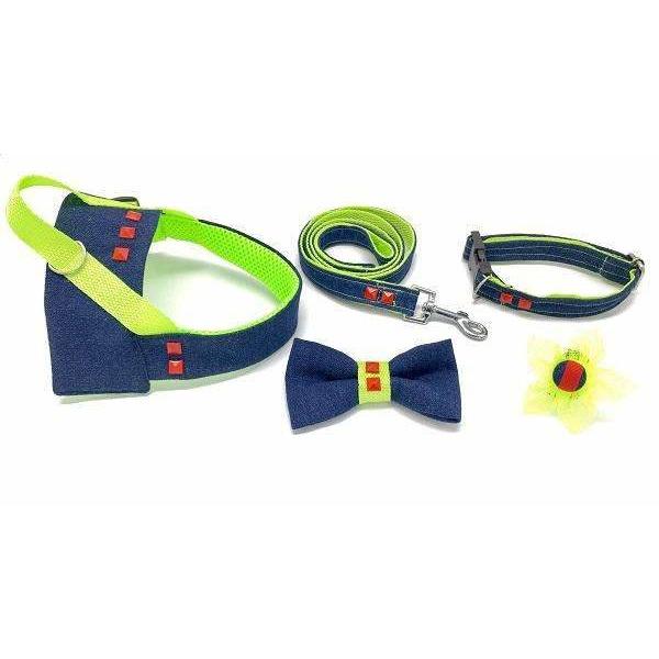 Navy denim & Neon dog leash with red studs - foxberryparkproducts