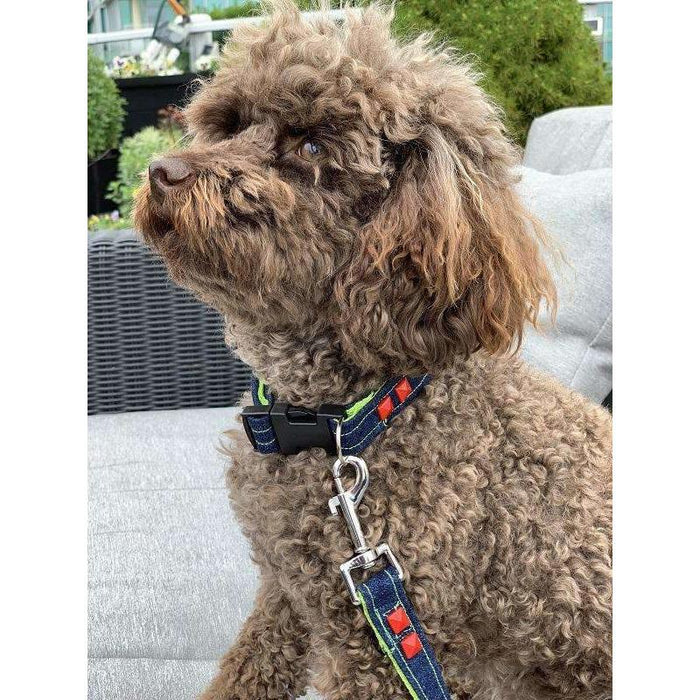 Navy denim & Neon dog leash with red studs - foxberryparkproducts