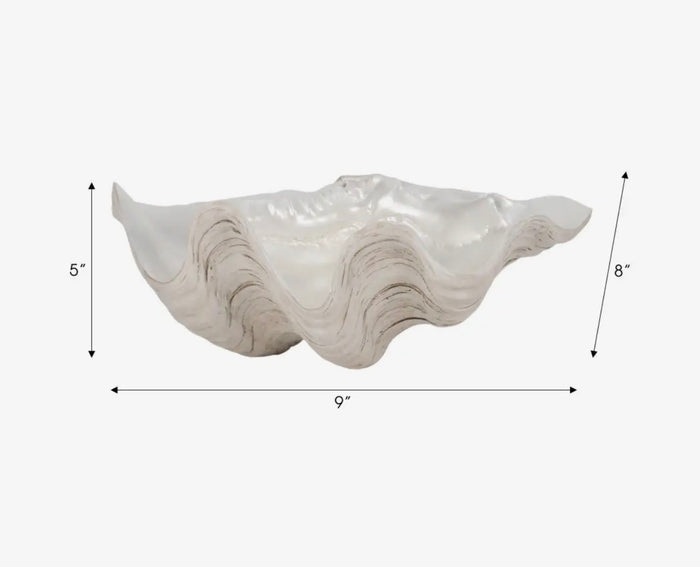 Oyster Decorative Bowl