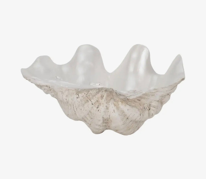 Oyster Decorative Bowl