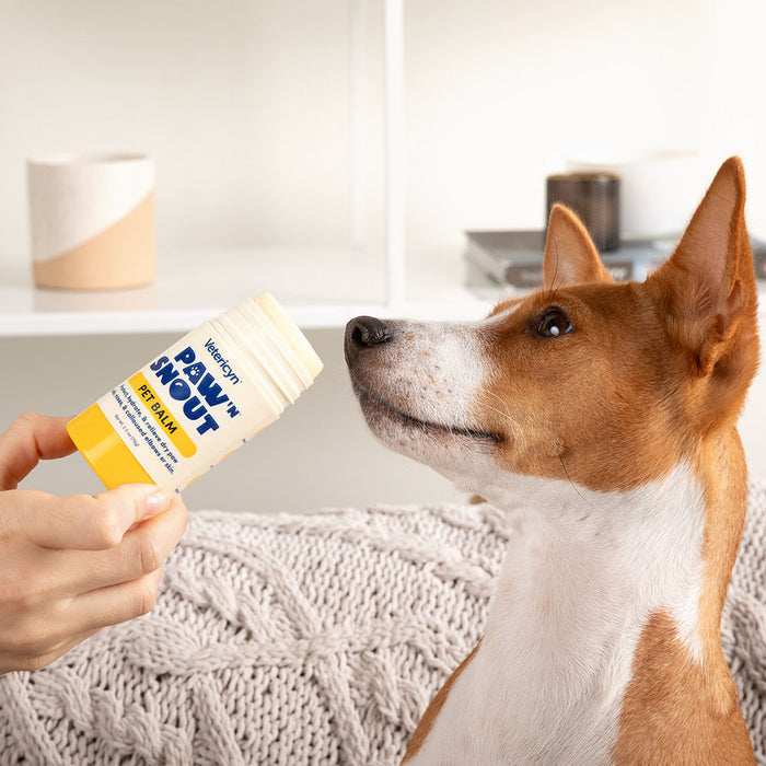 Paw 'N Snout Pet Balm