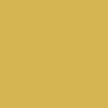 Tumeric colro swatch | Swatch | Exclude