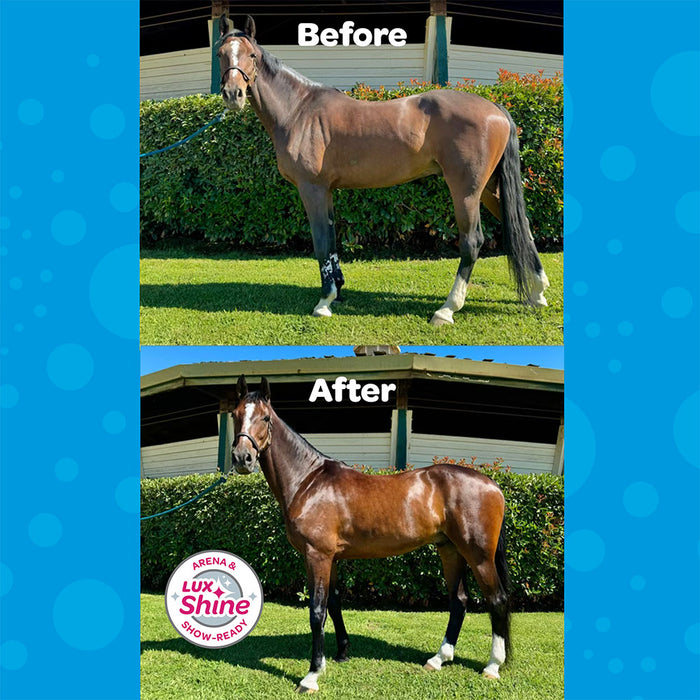 Spray-On Equine Shampoo with LuxShine